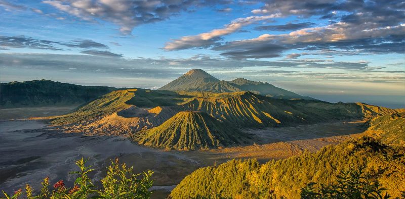 mentigen-bromo (1)