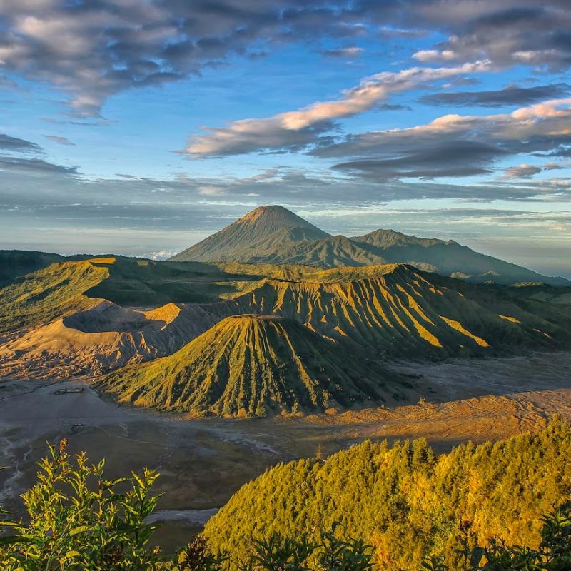 mentigen-bromo (1)